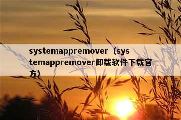 systemappremover（systemappremover卸载软件下载官方）