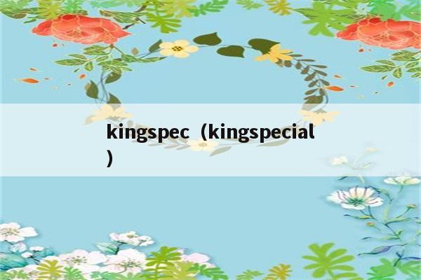 kingspec（kingspecial）